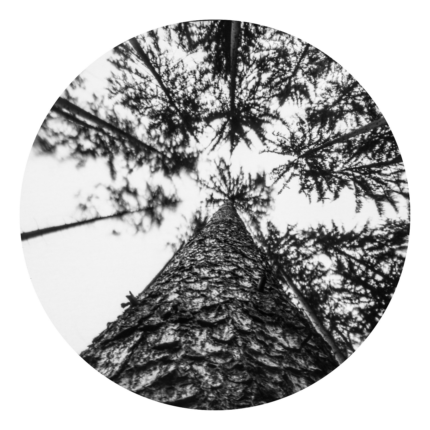 Fotografia otworkowa – Landscape, Obscura