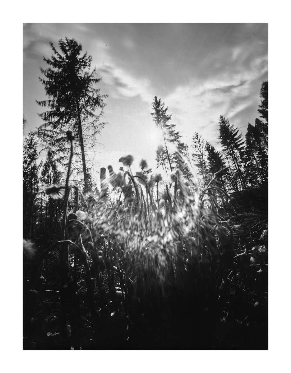Fotografia otworkowa – Landscape, Obscura