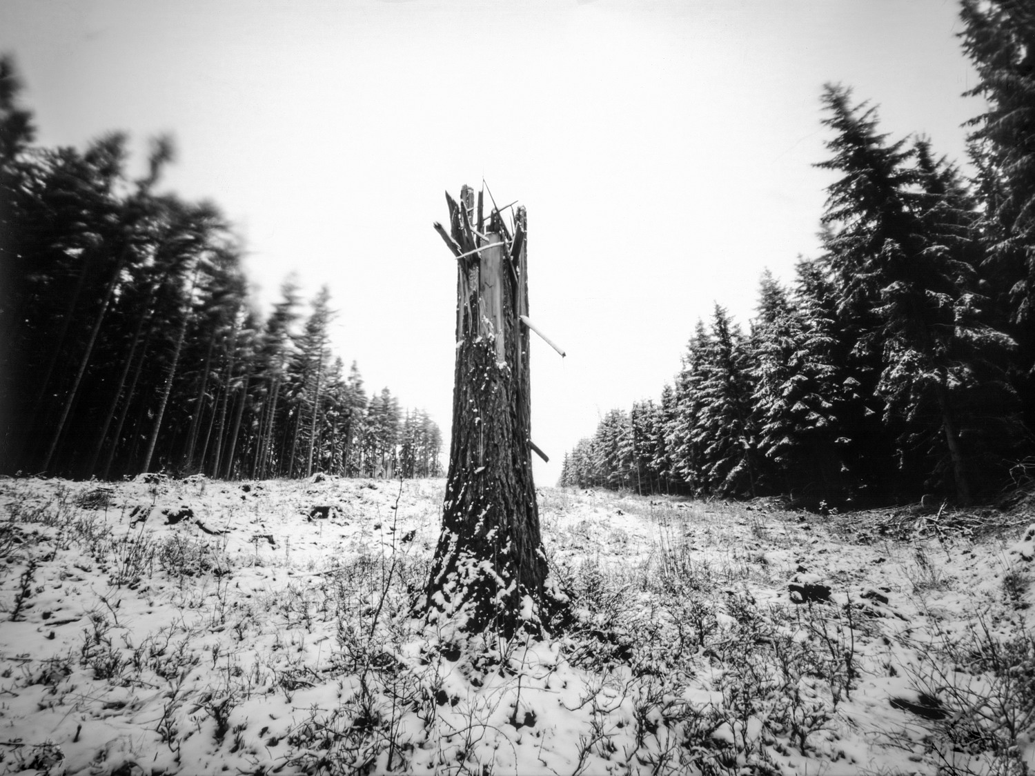 Fotografia otworkowa – Landscape, Obscura