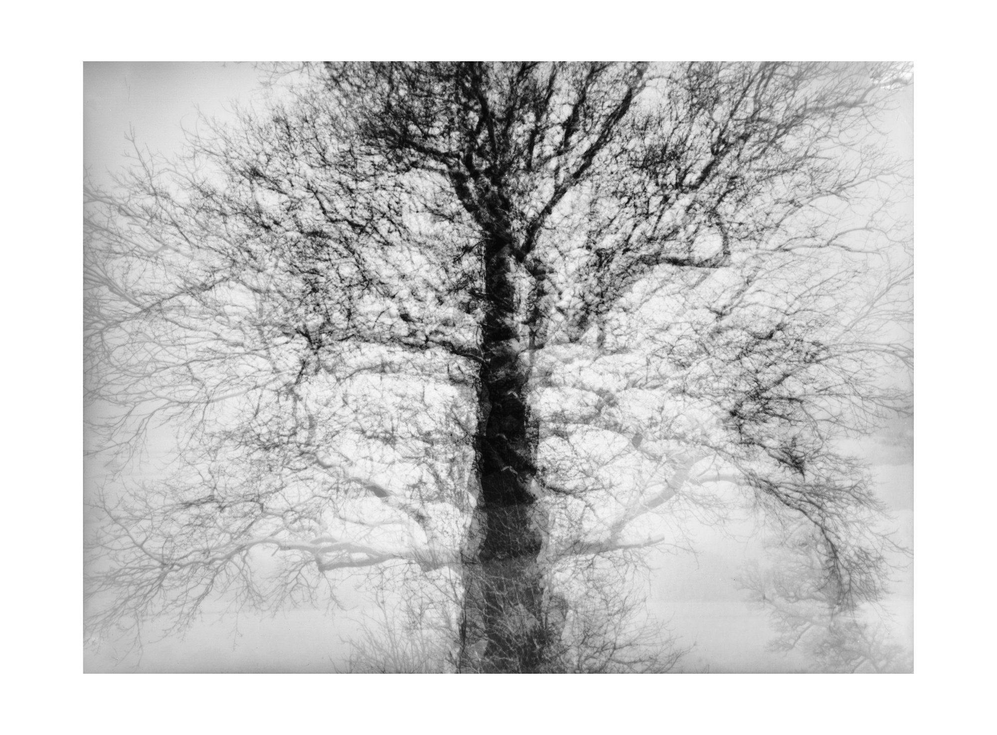 Fotografia otworkowa – Landscape, Obscura