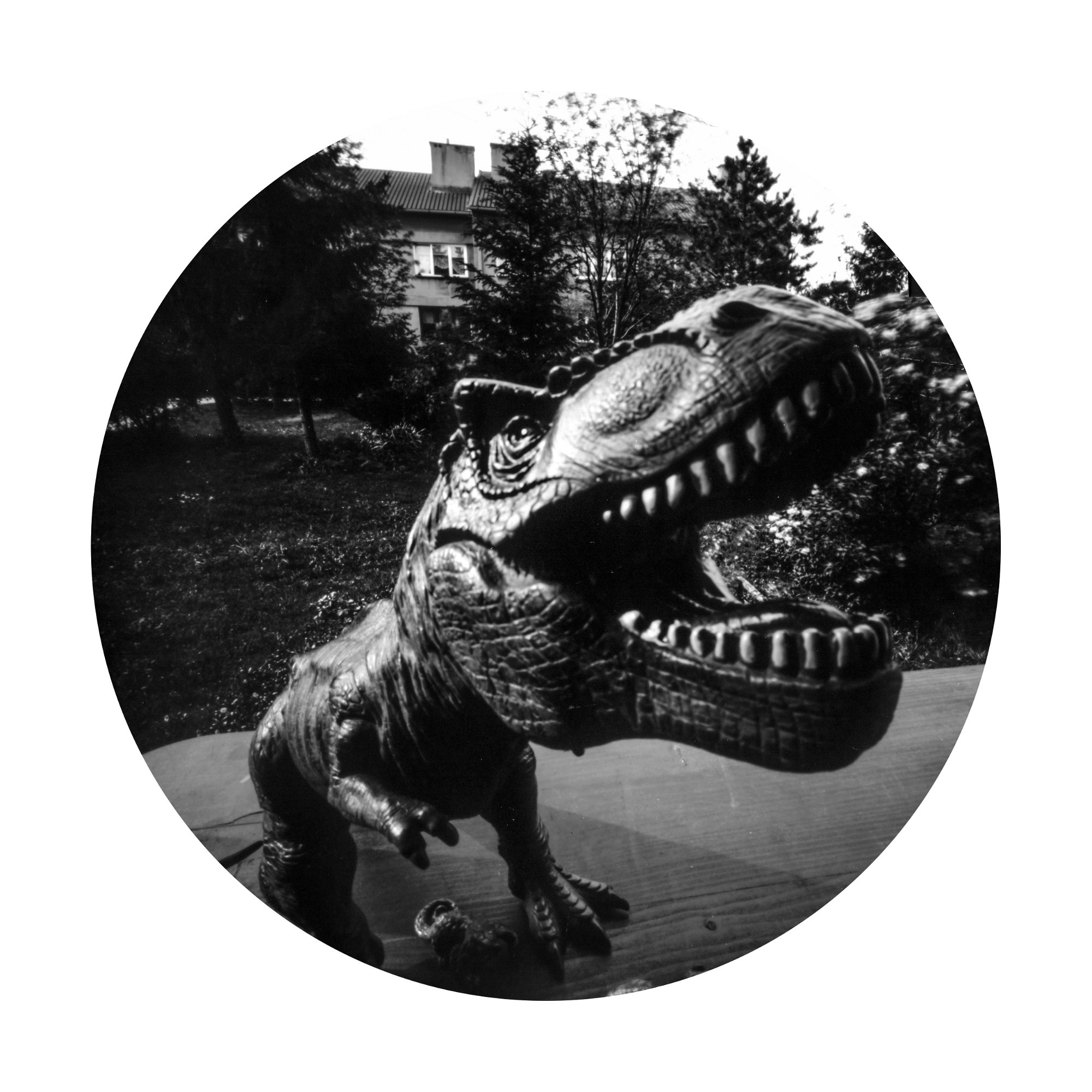 Fotografia otworkowa – Others, Obscura