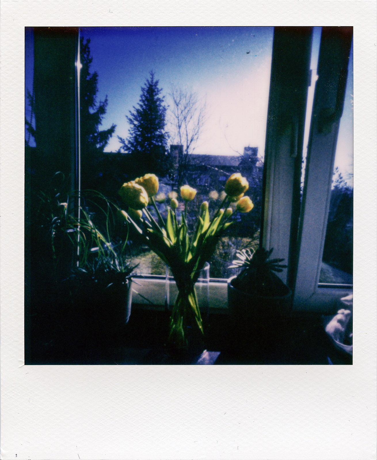 Fotografia otworkowa – Polaroid, Obscura