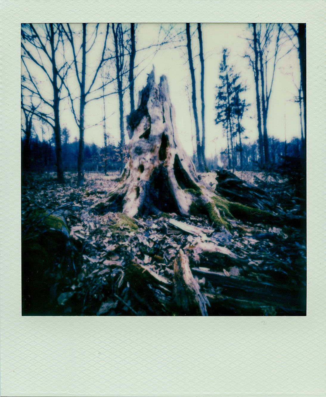 Fotografia otworkowa – Polaroid, Obscura