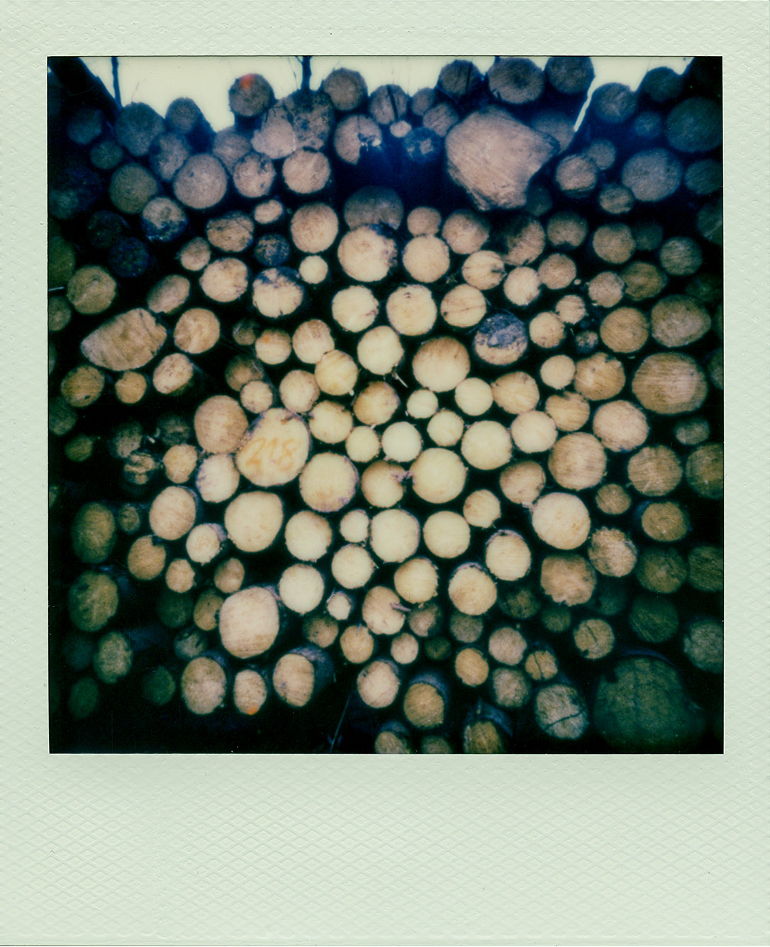 Fotografia otworkowa – Polaroid, Obscura