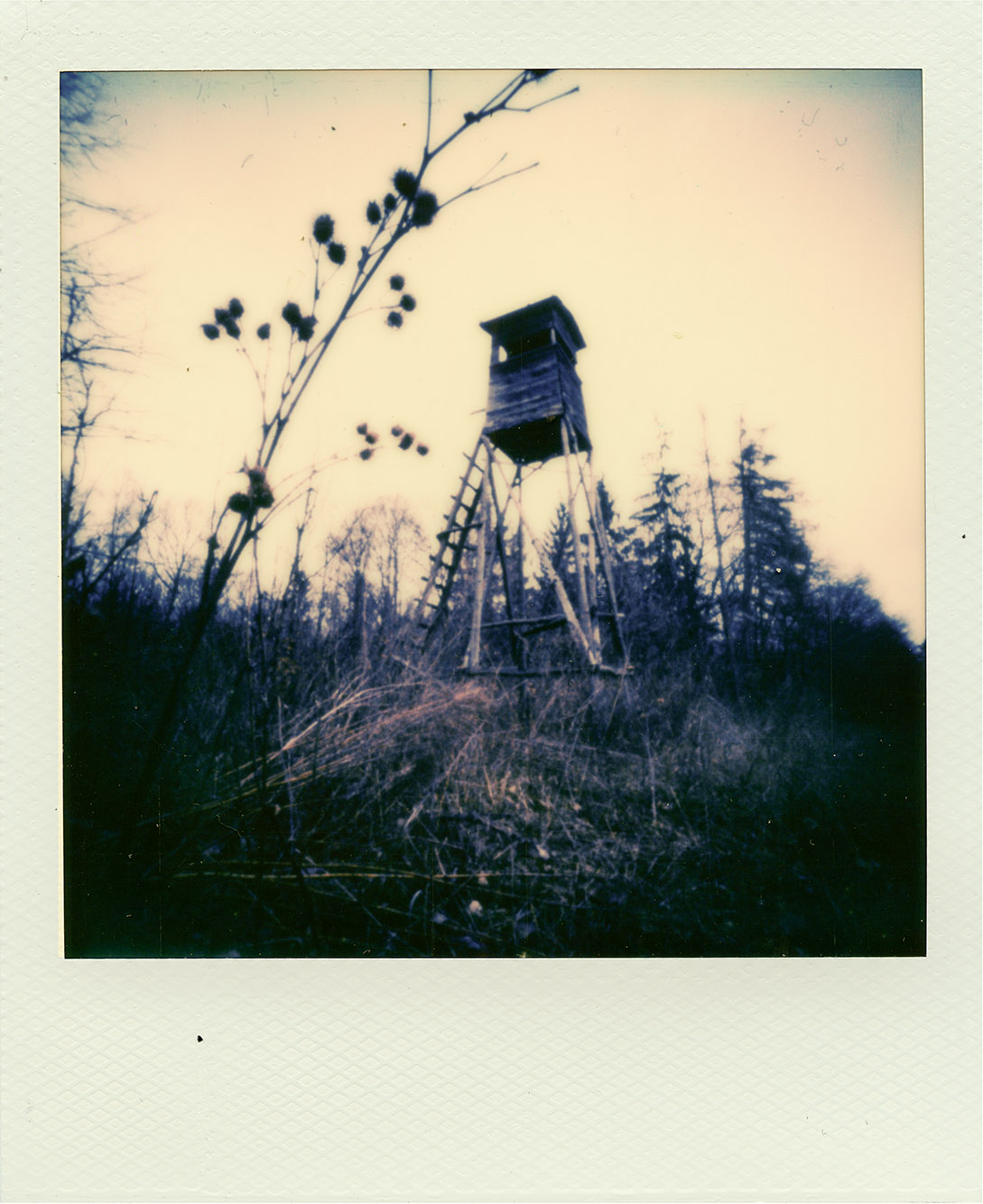 Fotografia otworkowa – Polaroid, Obscura