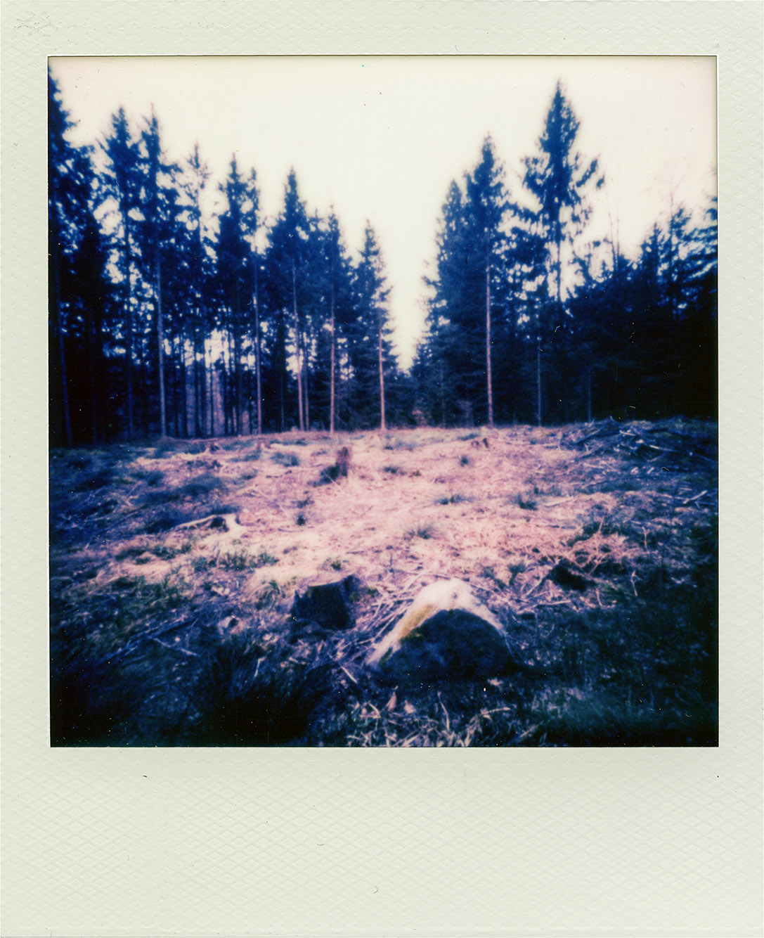 Fotografia otworkowa – Polaroid, Obscura