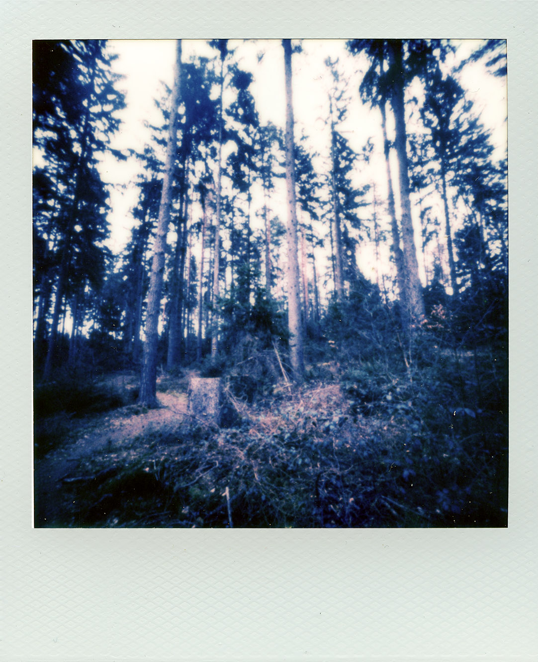 Fotografia otworkowa – Polaroid, Obscura