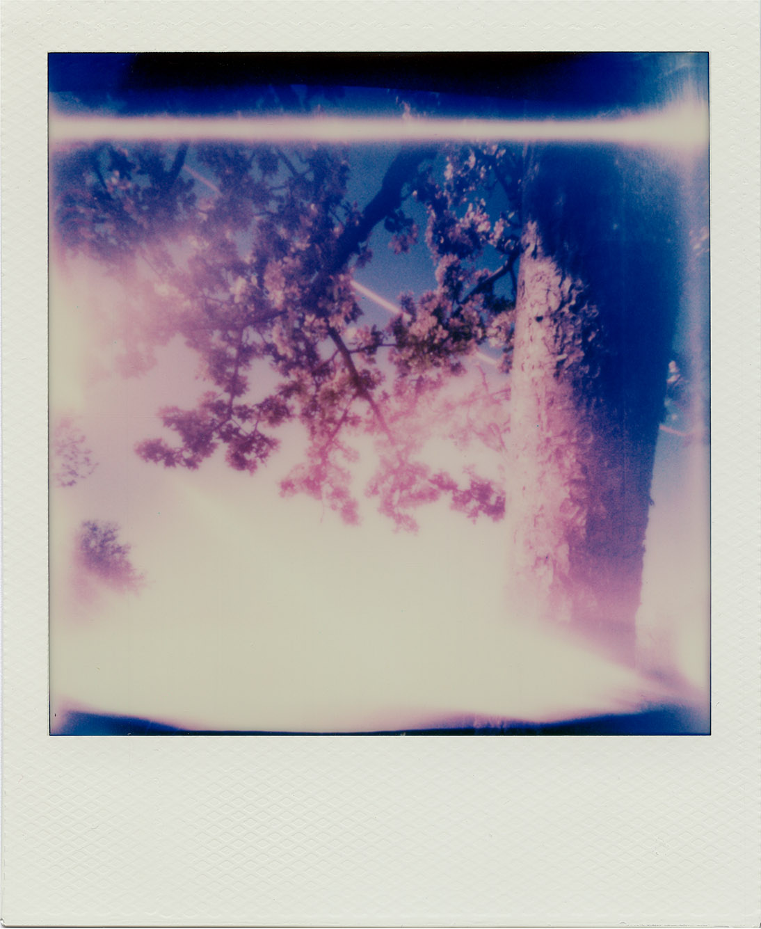 Fotografia otworkowa – Polaroid, Obscura