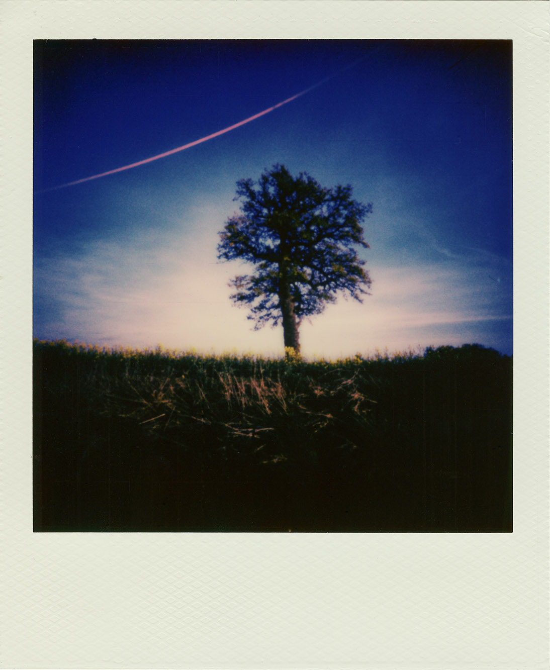 Fotografia otworkowa – Polaroid, Obscura