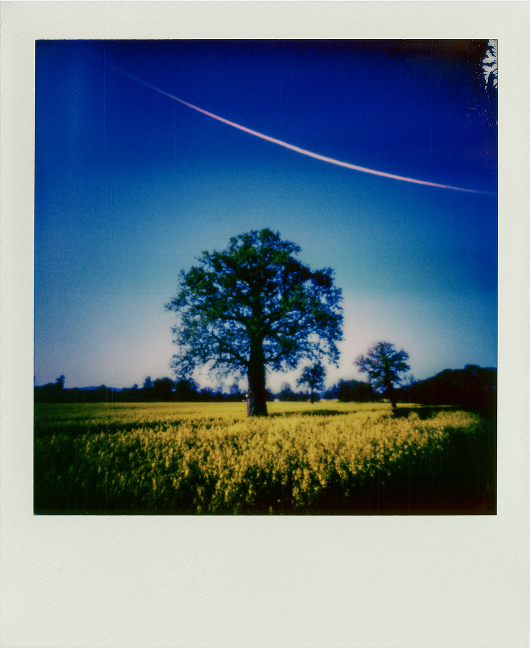 Fotografia otworkowa – Polaroid, Obscura
