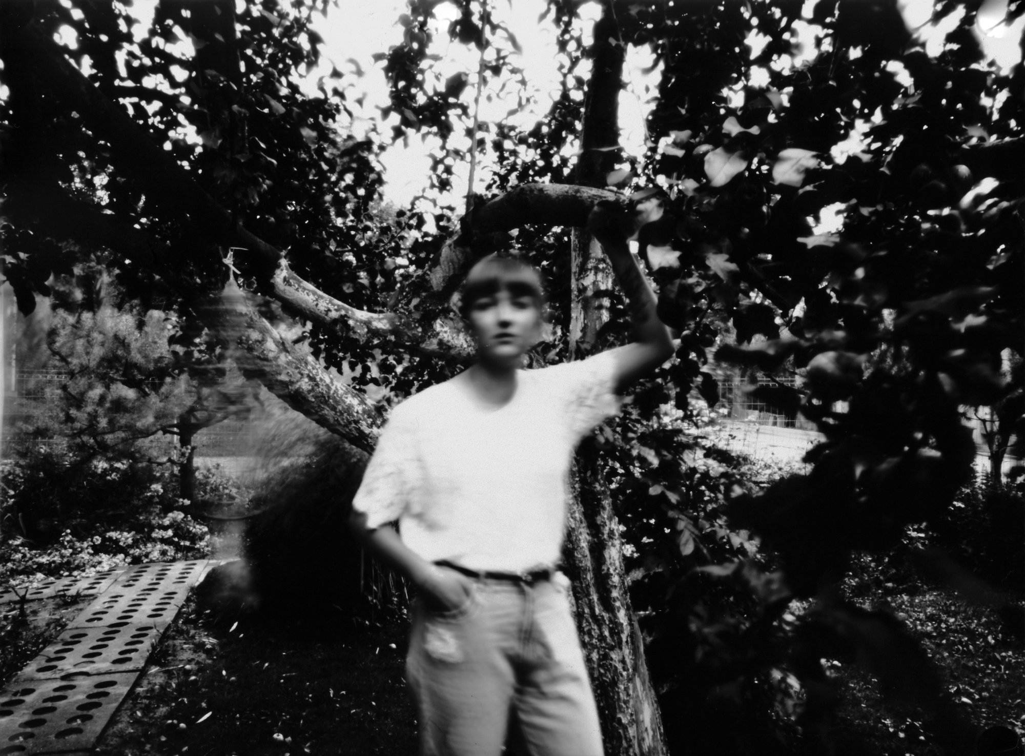 Fotografia otworkowa – Portrait, Obscura
