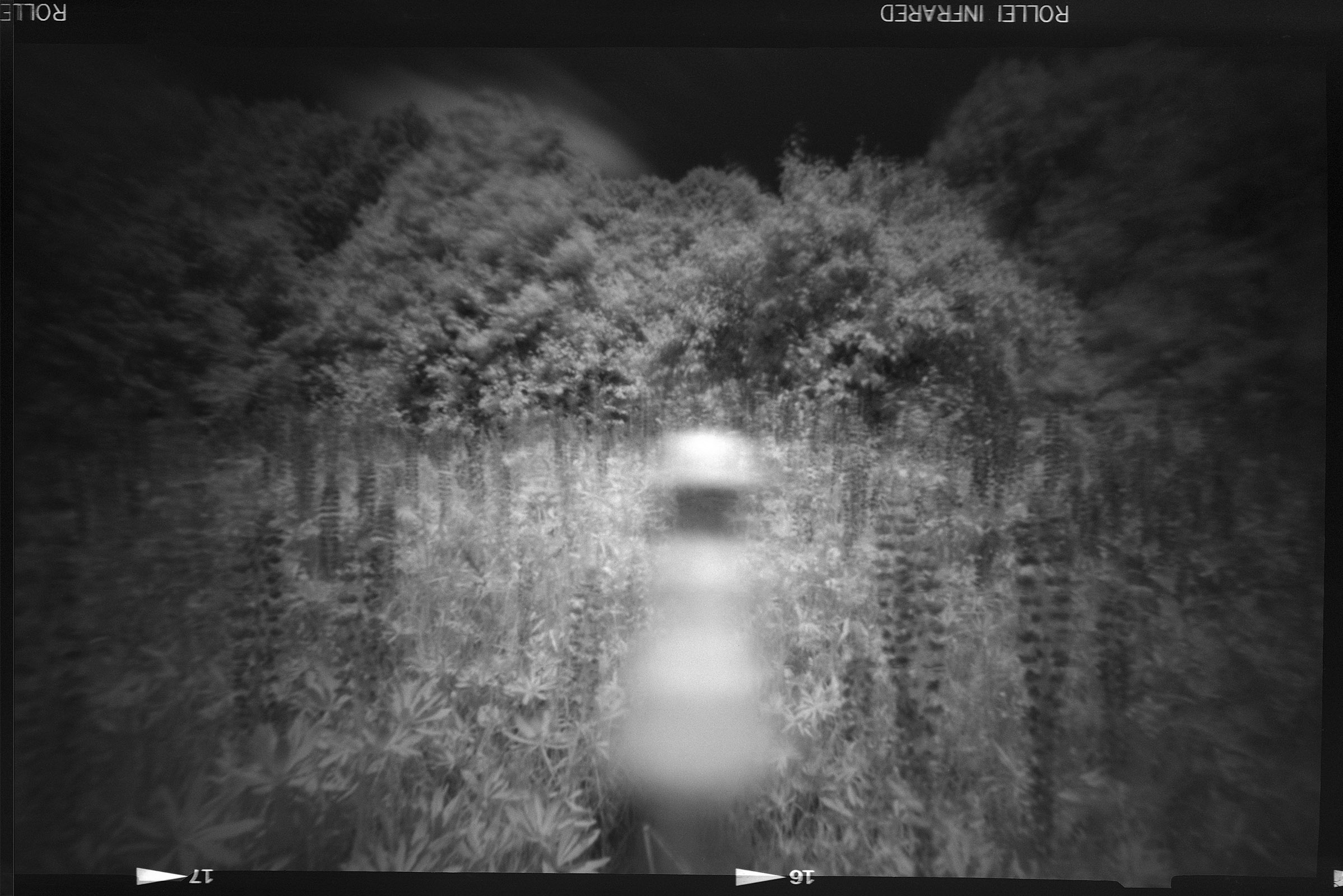Fotografia otworkowa – Vermeercamera, Obscura