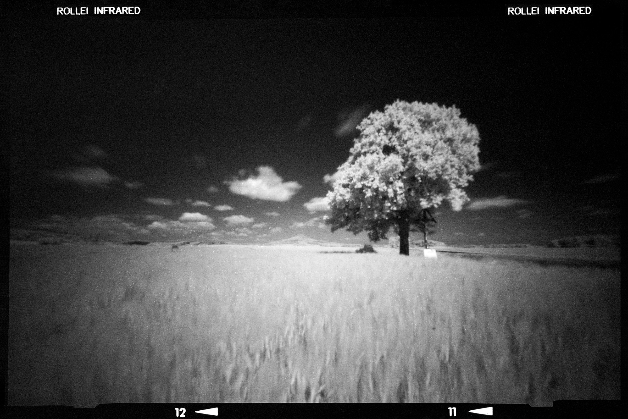 Fotografia otworkowa – Vermeercamera, Obscura