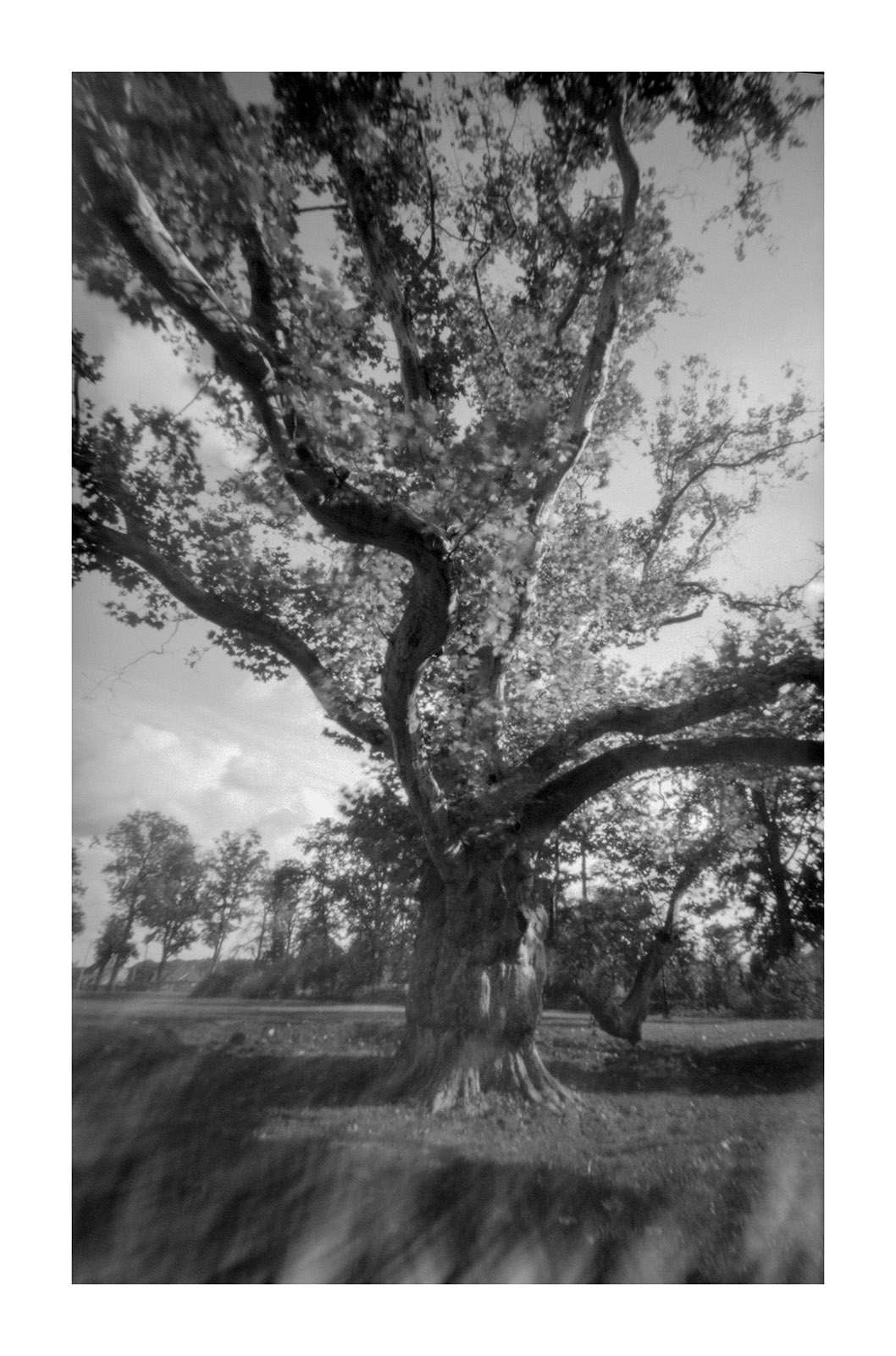 Fotografia otworkowa – Vermeercamera, Obscura