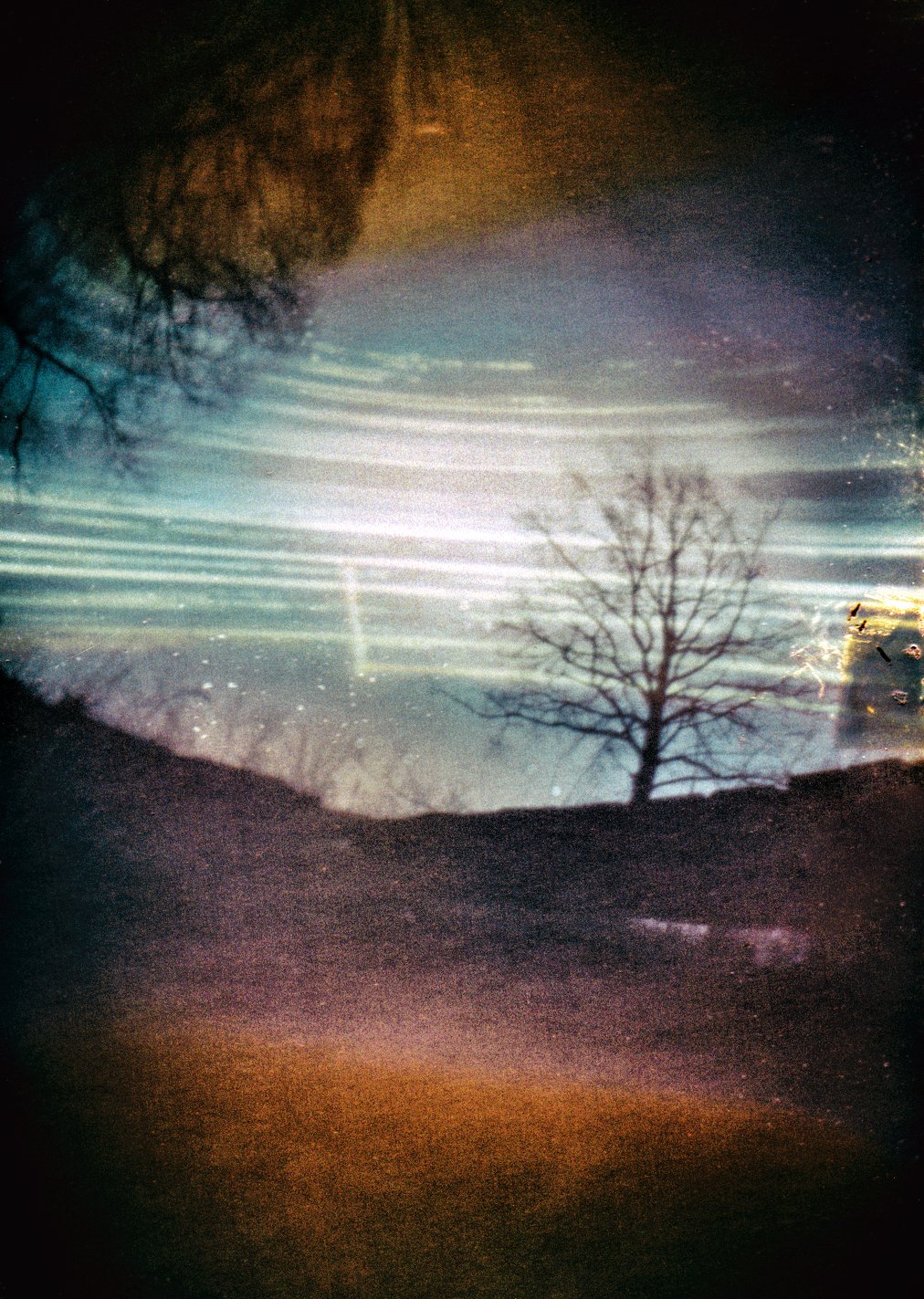 Solarigrafia – 2019