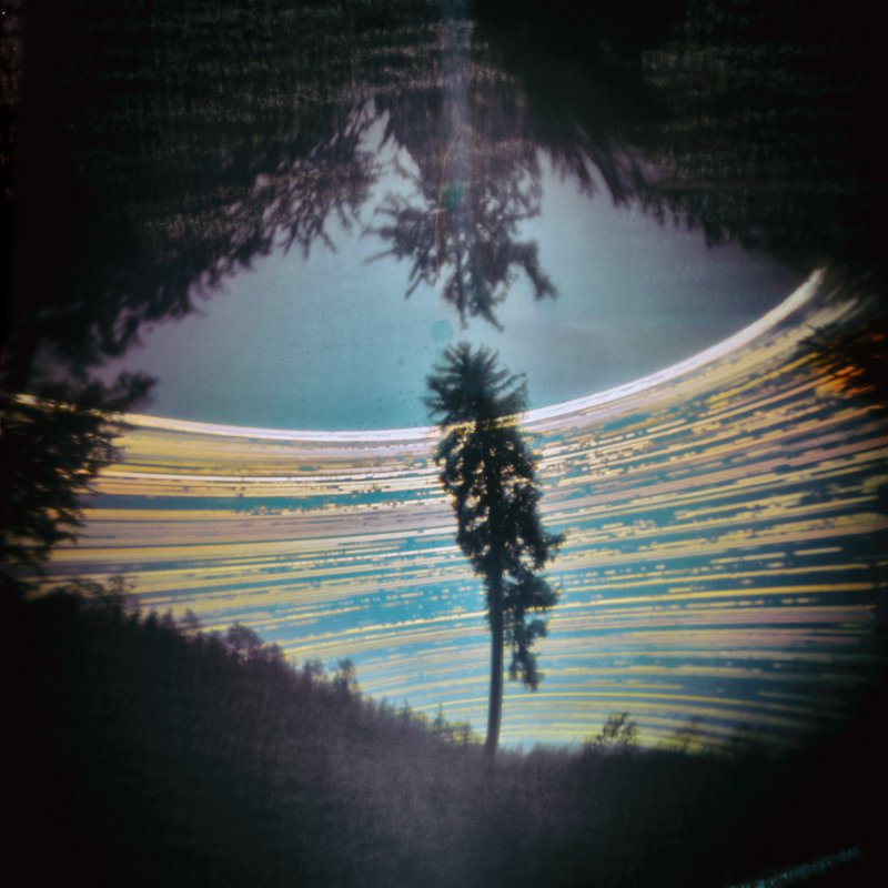 Solarigrafia – 2019