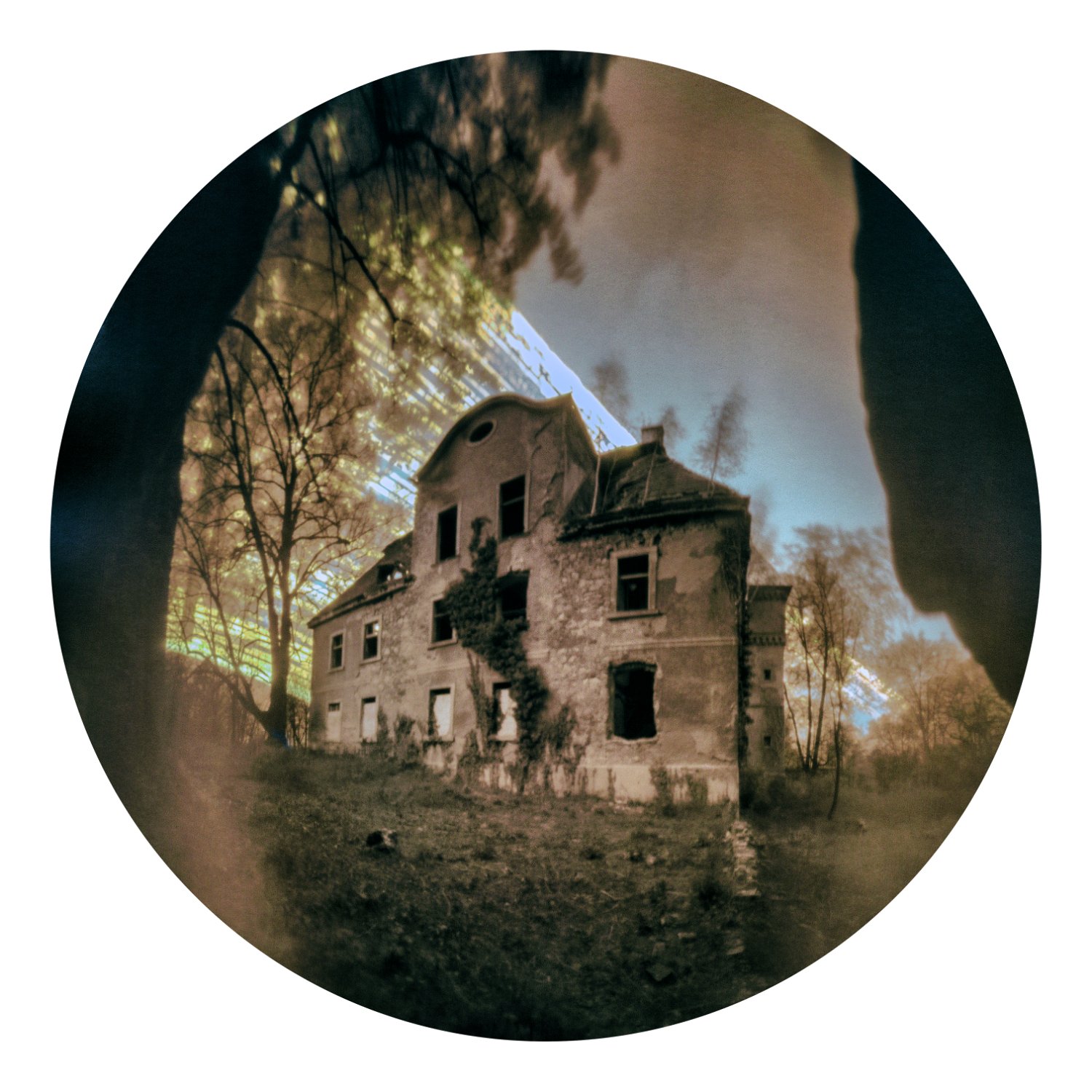 Solarigrafia – 2020