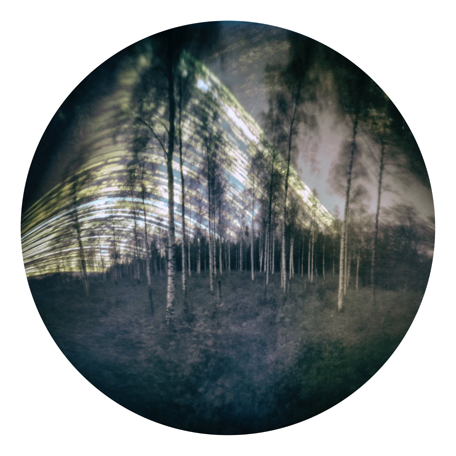 Solarigrafia – 2020