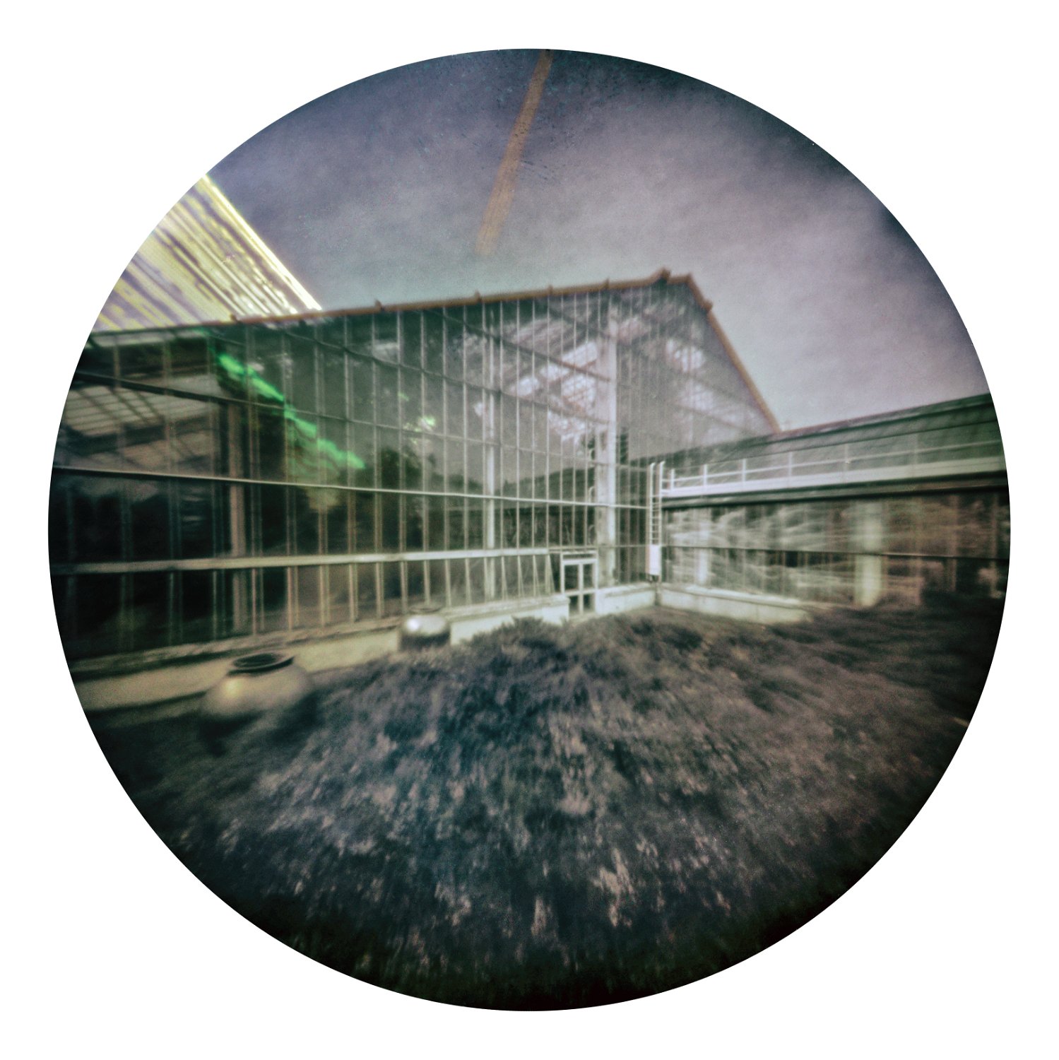 Solarigrafia – 2020