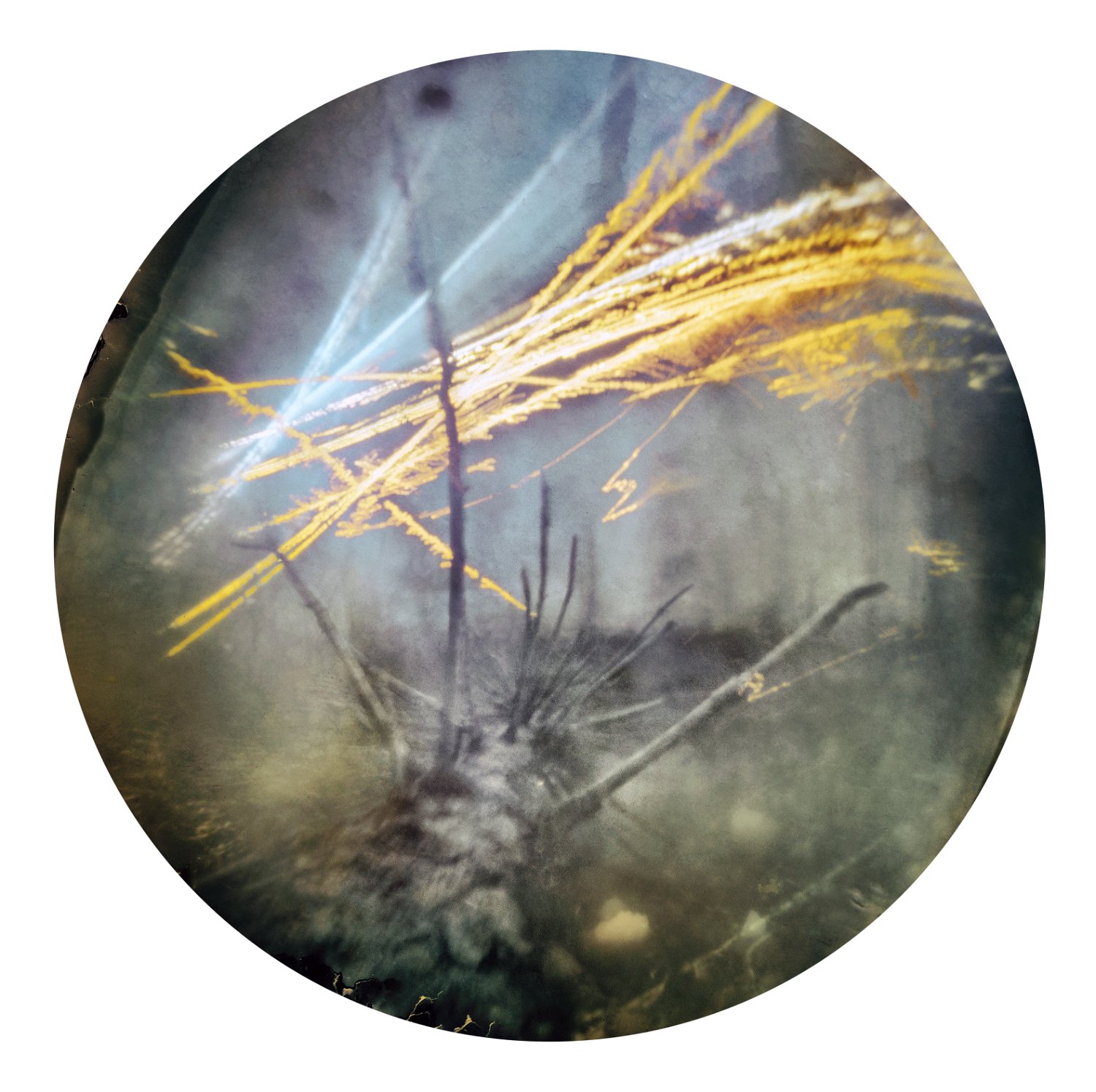 Solarigrafia – 2020