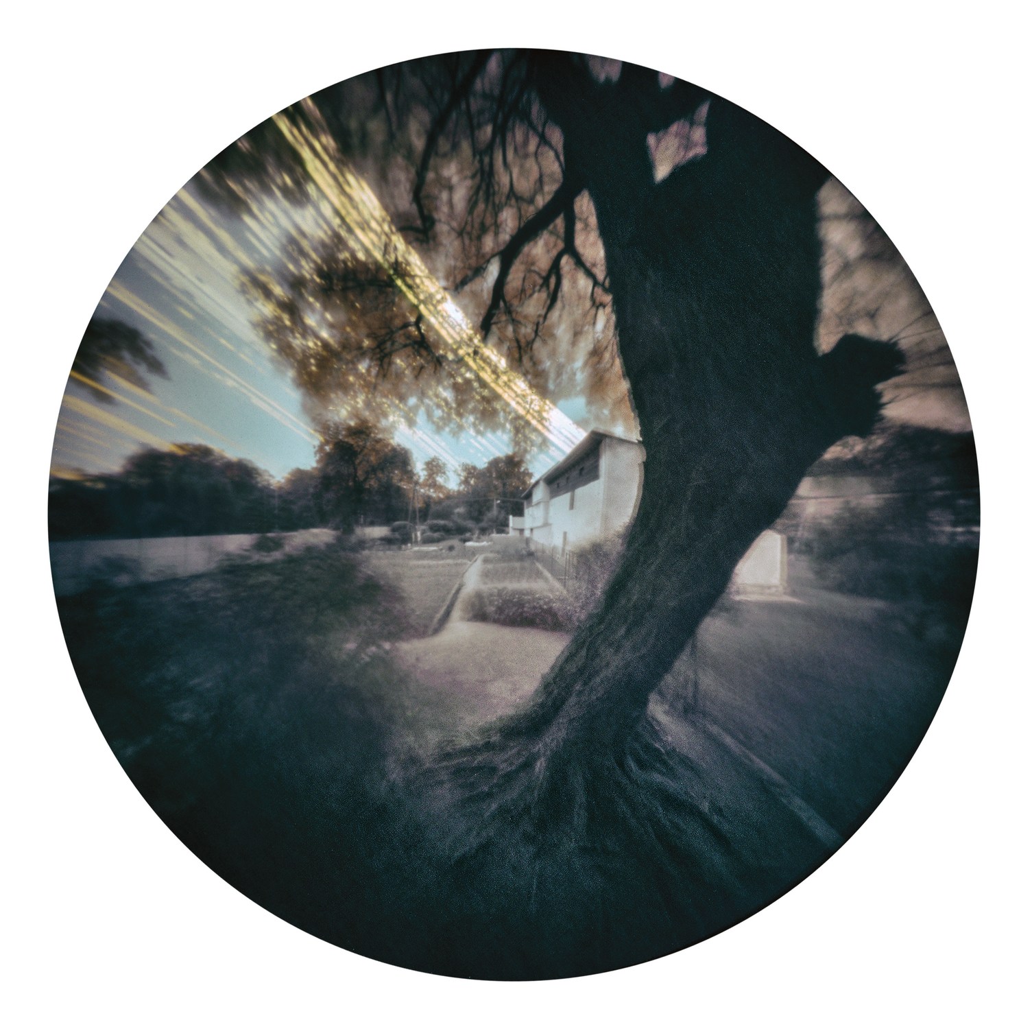 Solarigrafia – 2021