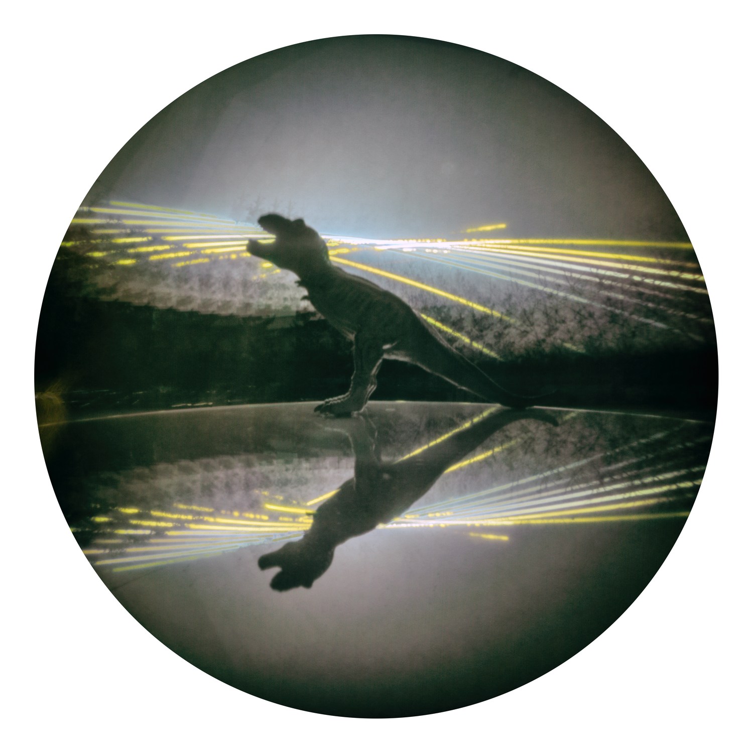 Solarigrafia – 2021