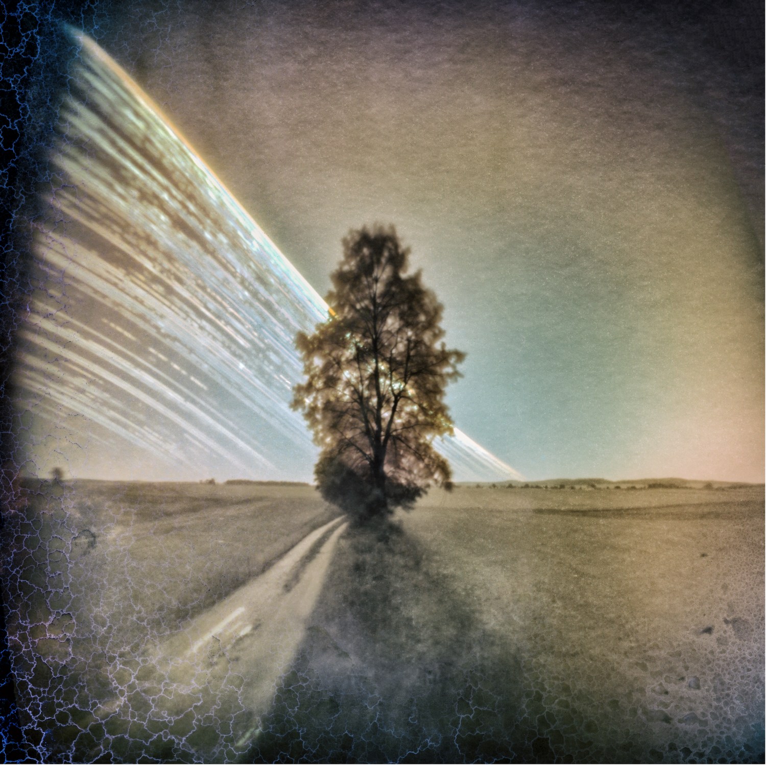 Solarigrafia – 2021