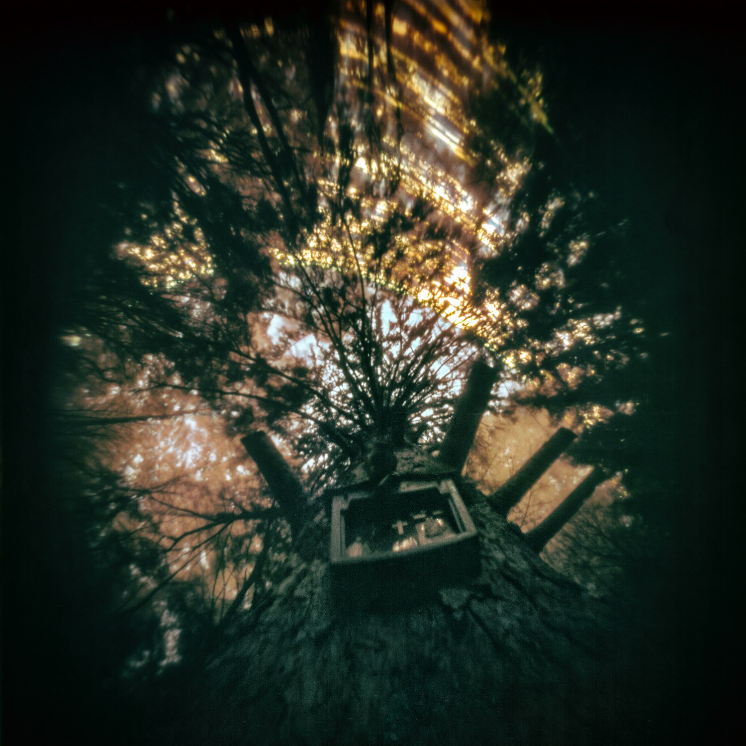 Solarigrafia – 2021