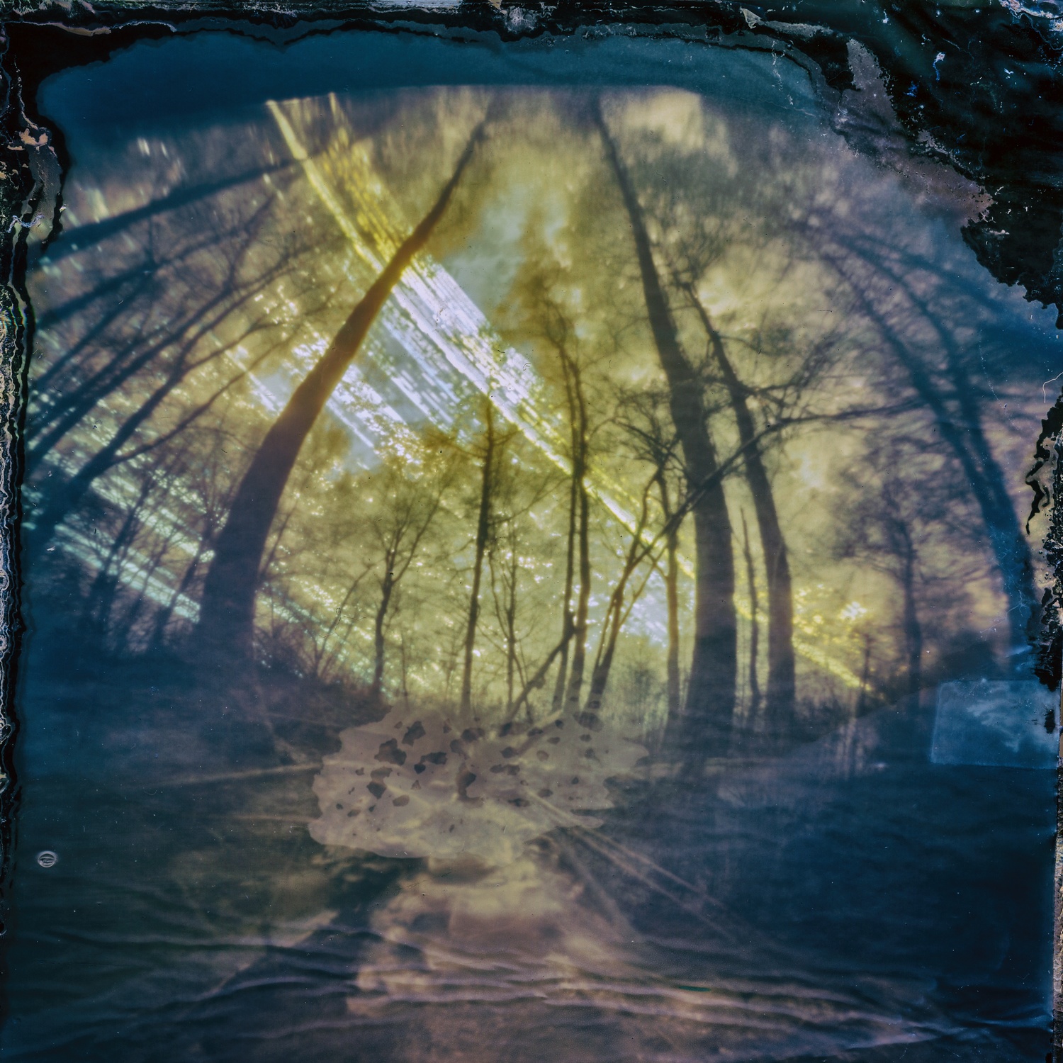 Solarigrafia – 2022