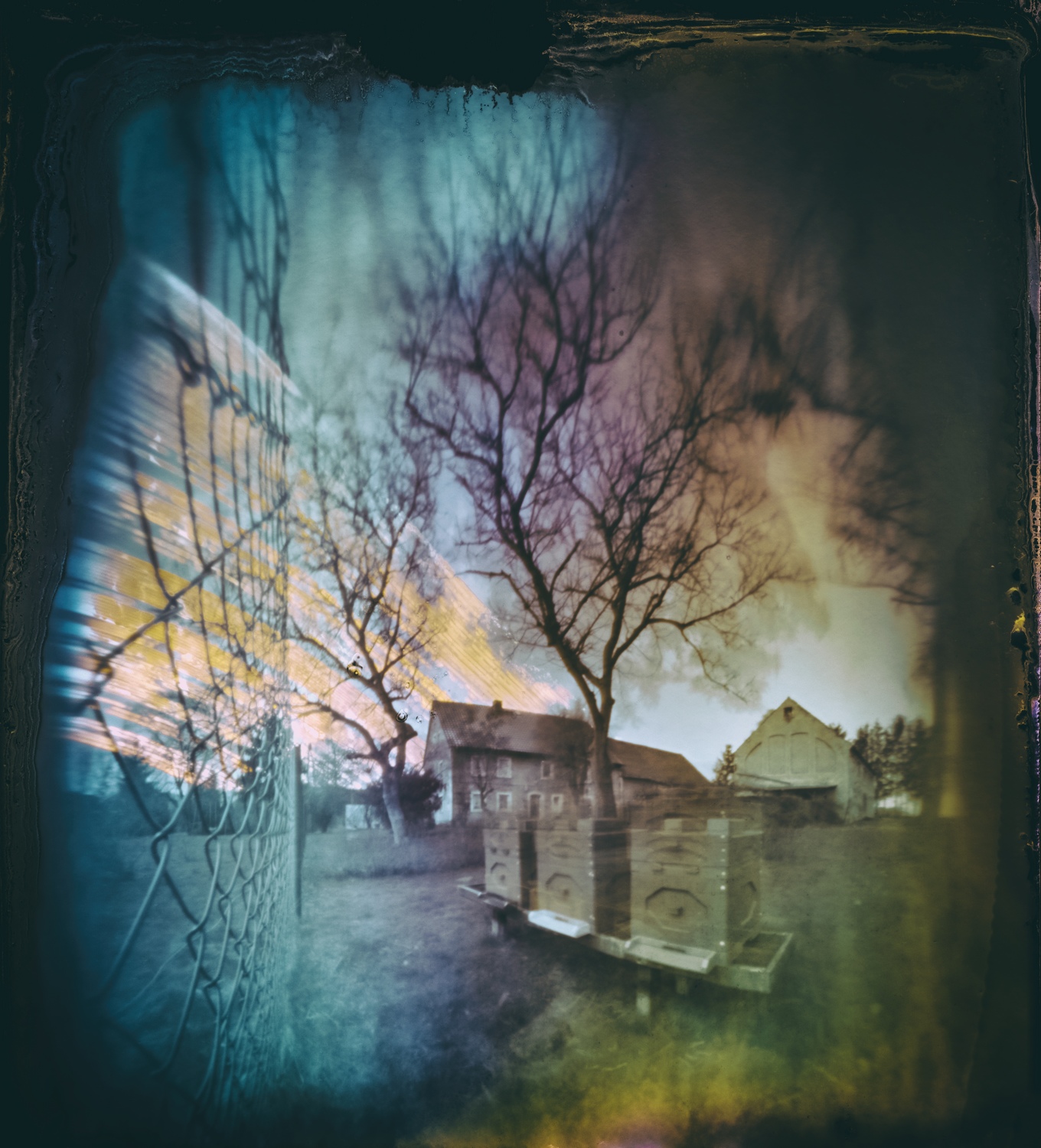 Solarigrafia – 2022