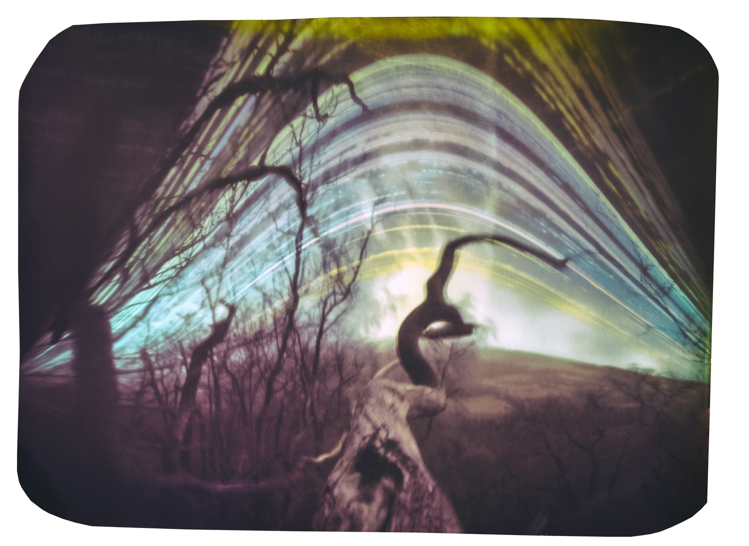 Solarigrafia – 2022