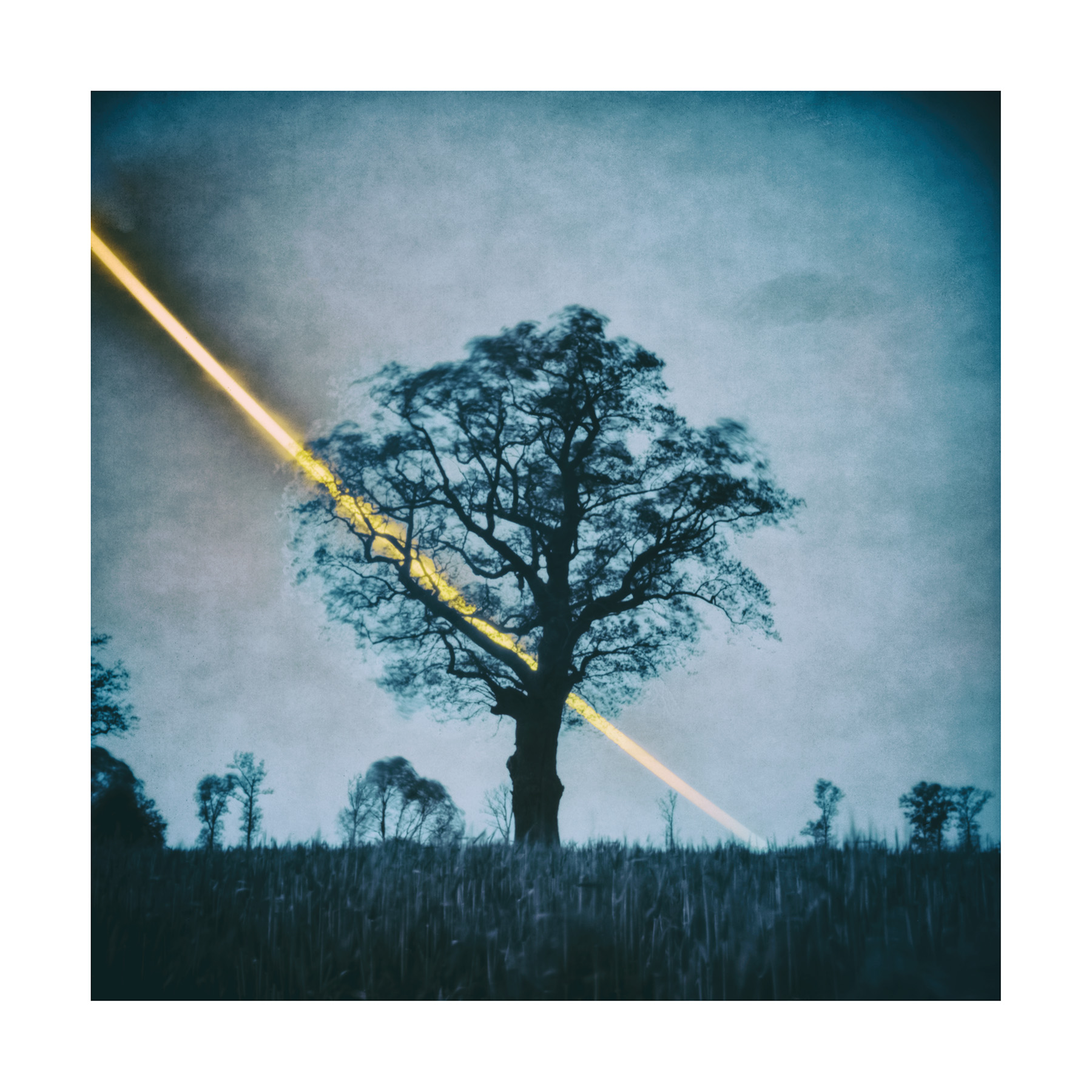 Solarigrafia – 2024