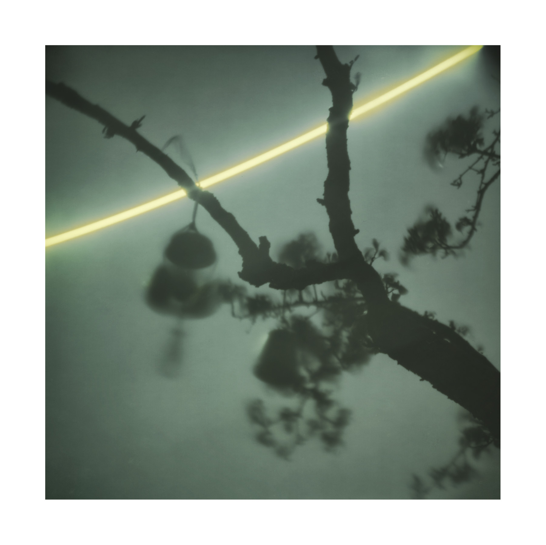 Solarigrafia – 2024