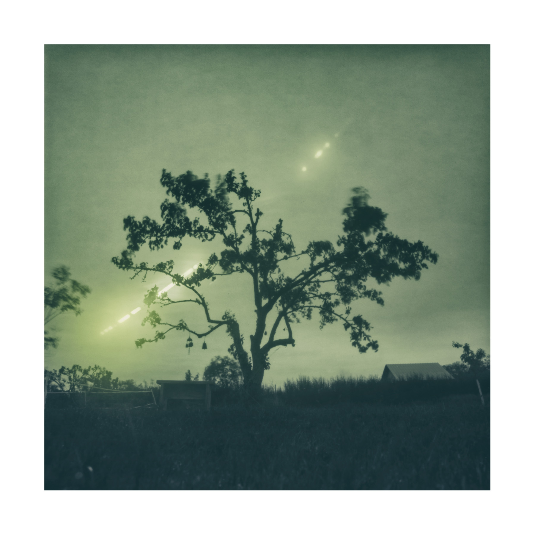 Solarigrafia – 2024