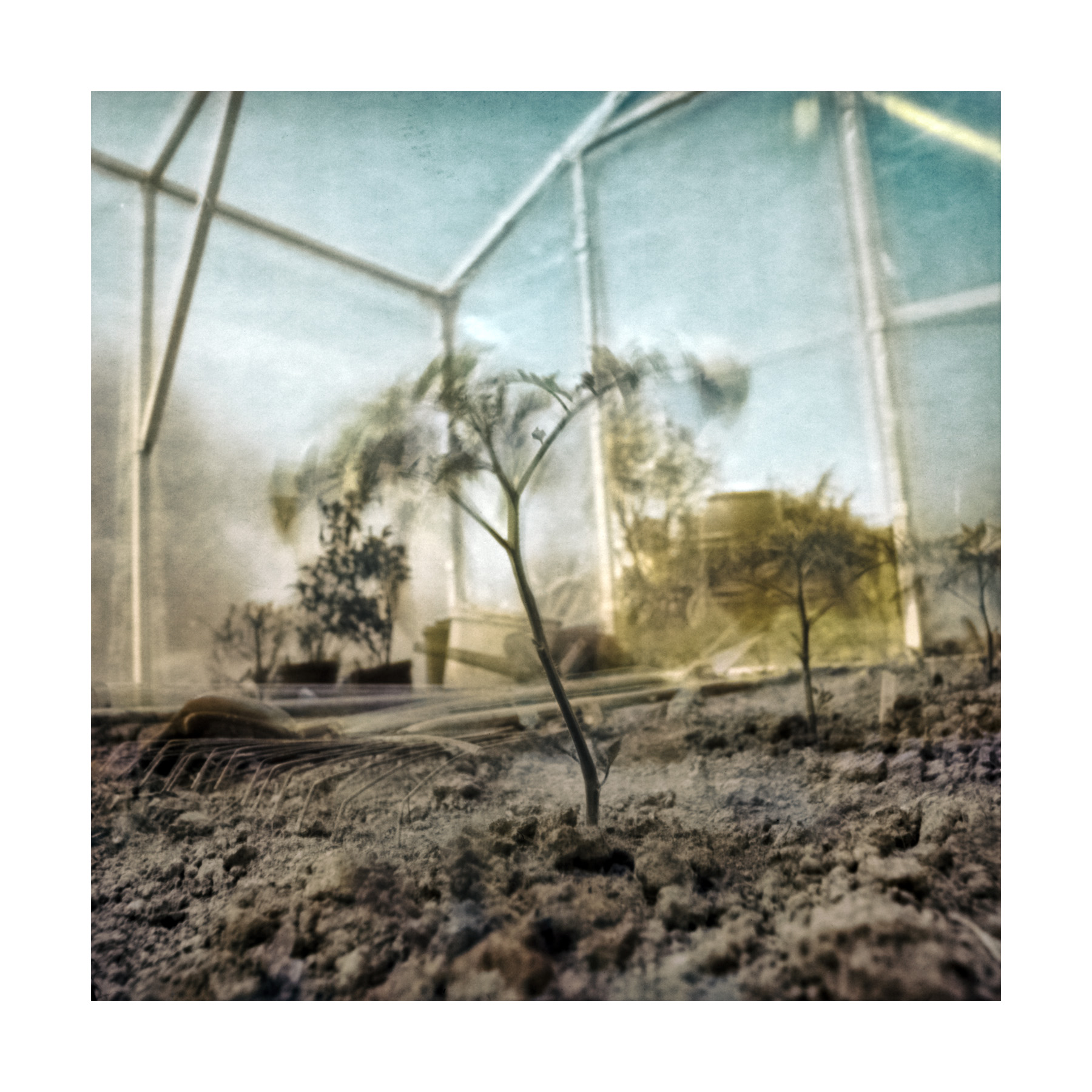 Solarigrafia – 2024