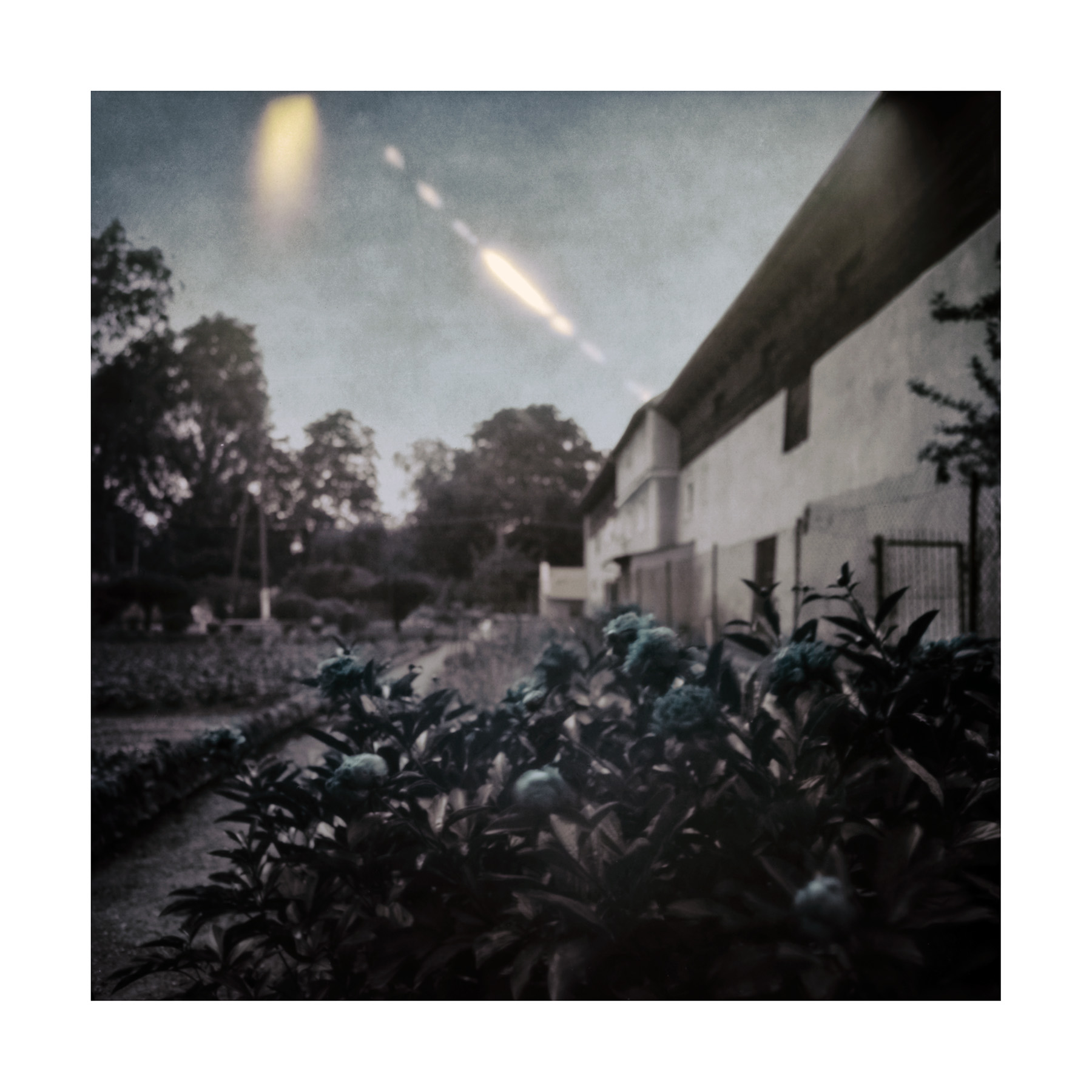 Solarigrafia – 2024