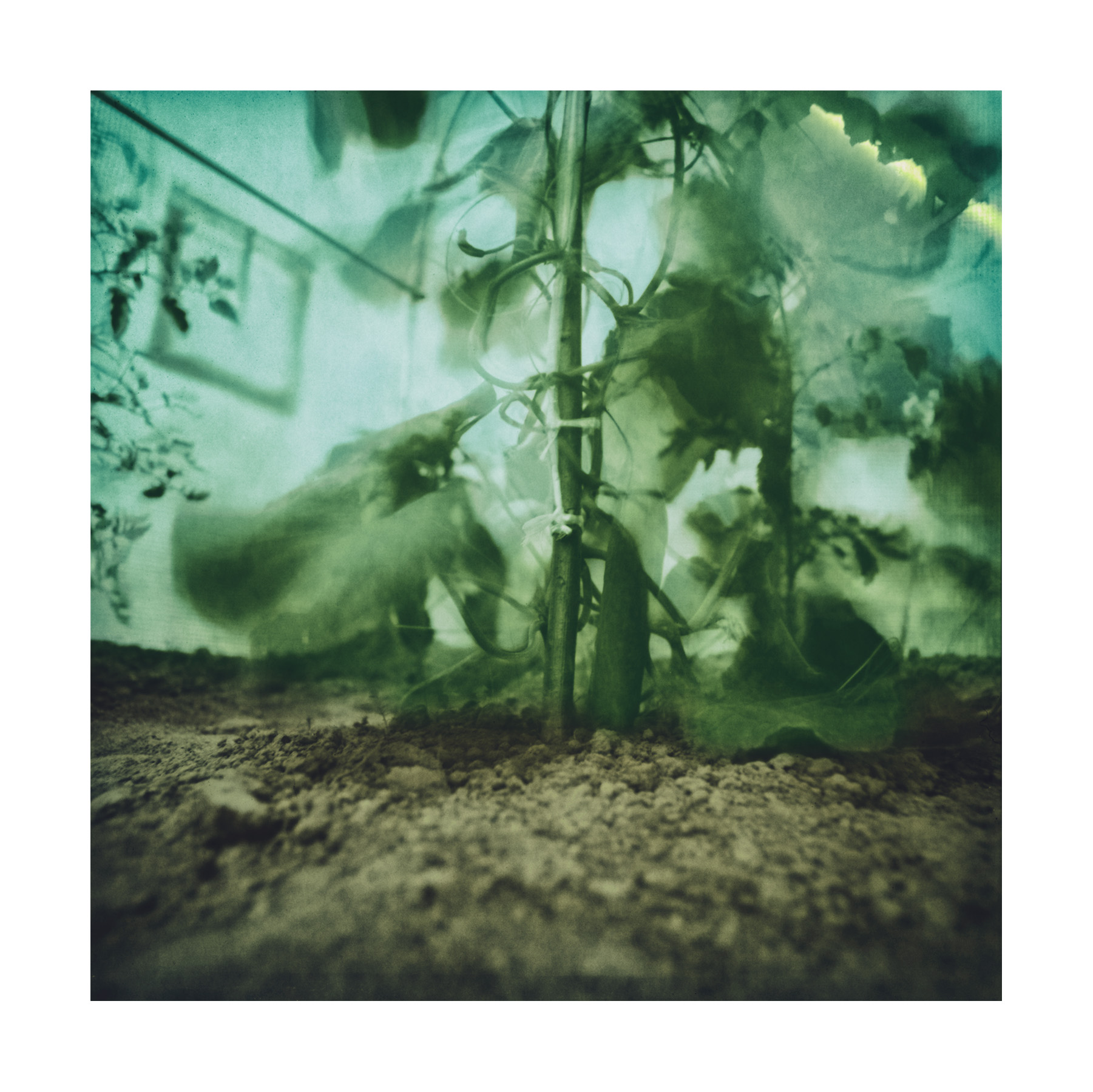Solarigrafia – 2024