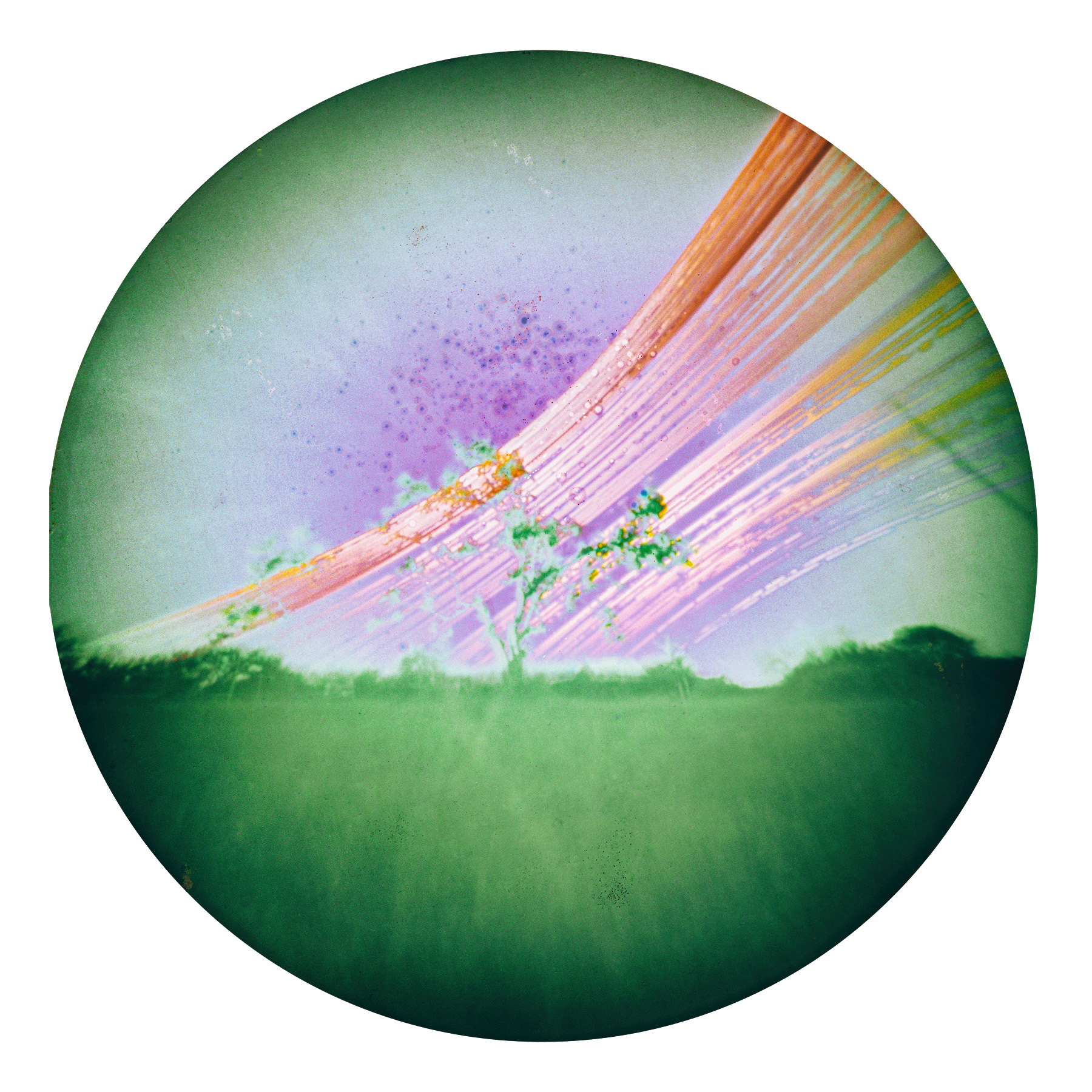 Solarigrafia – 2024