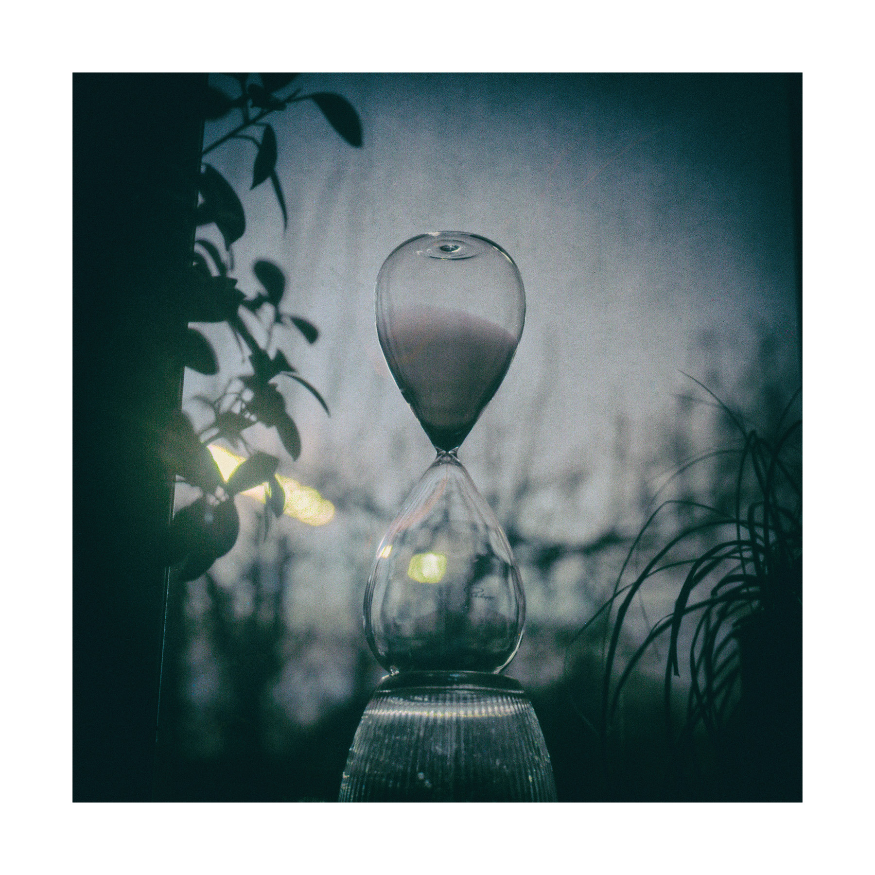 Solarigrafia – 2024