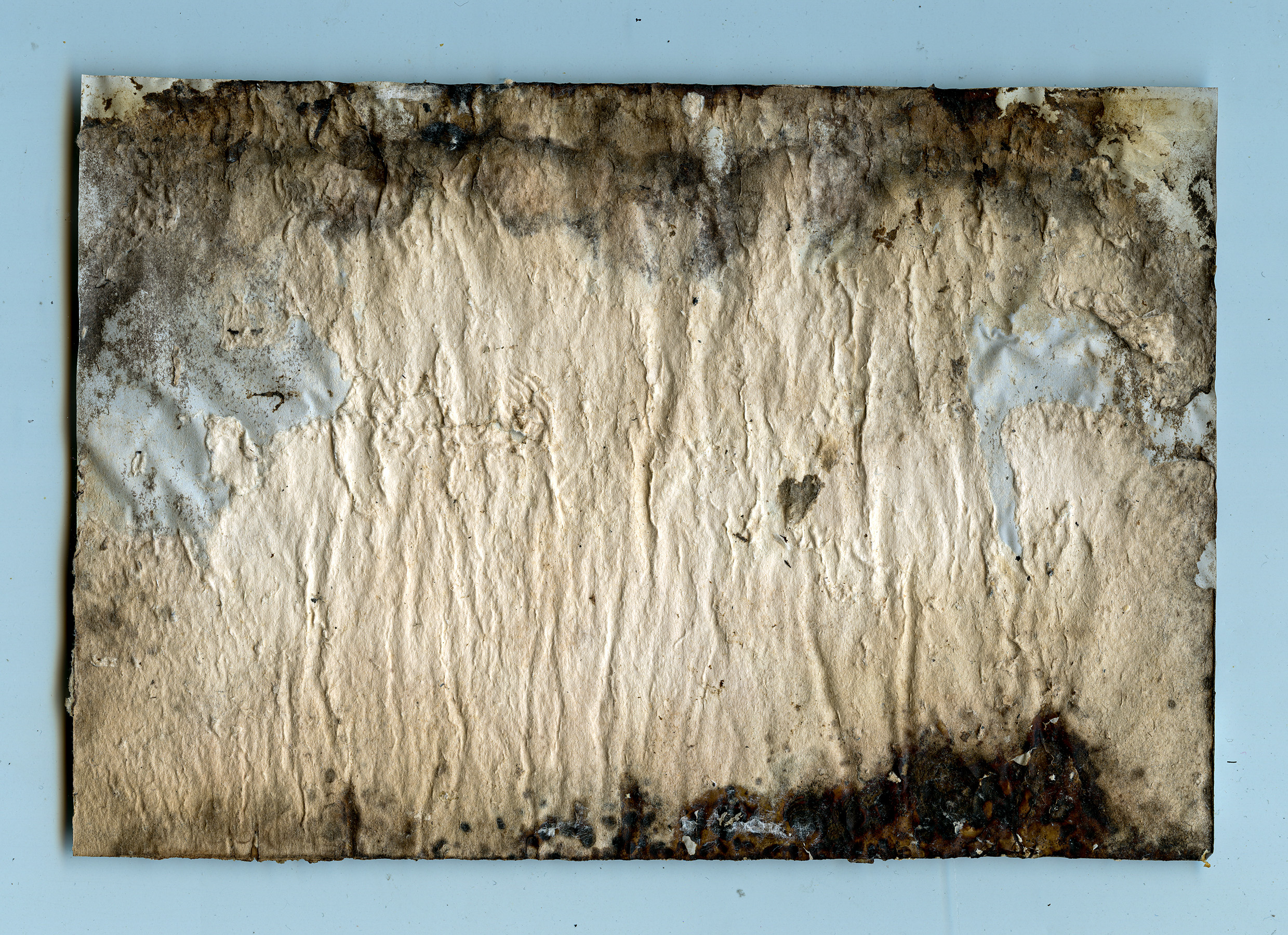 Solarigrafia – 2024